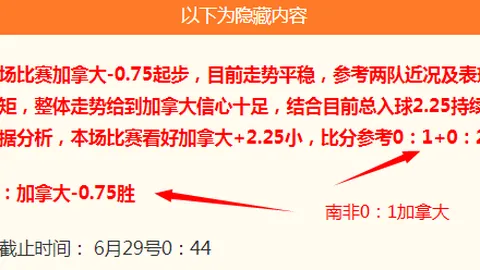 世界杯投注，体育博彩， 100024